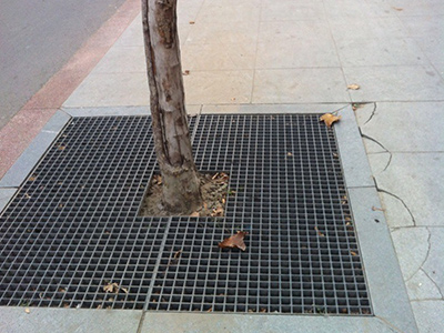 1576047103605370.jpg 264559392373731021.jpg